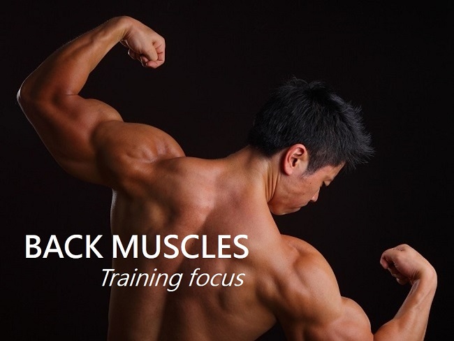背部肌肉的訓練重點