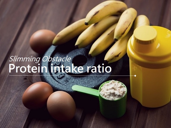 蛋白質的攝取比例與減重有關