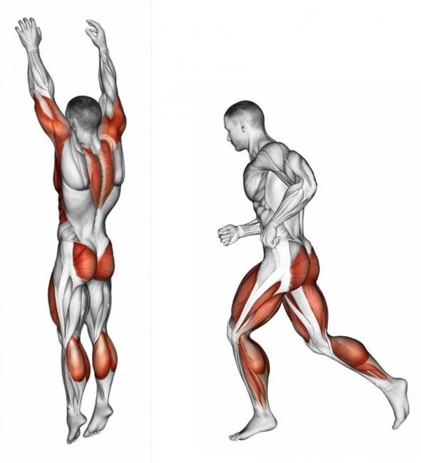 跑步較跳繩能鍛鍊到臀部肌群，跳繩較跑步能練到手臂