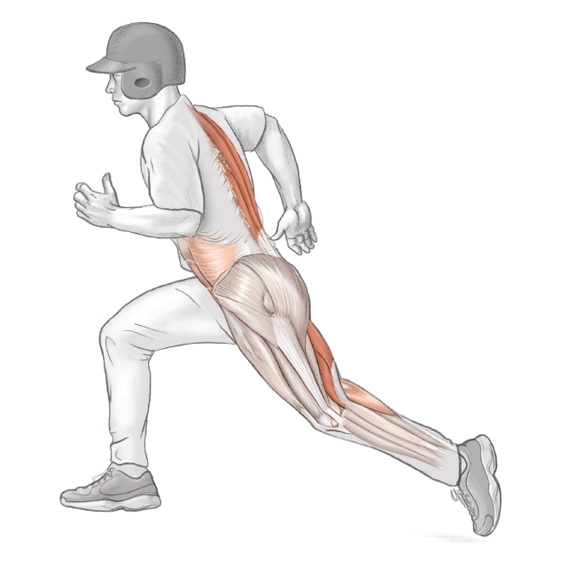 棒球員的膕旁肌最常見的受傷情境是跑壘